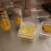 N-N DMT - Image 5