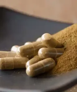 Iboga Powder Capsule 350mg
