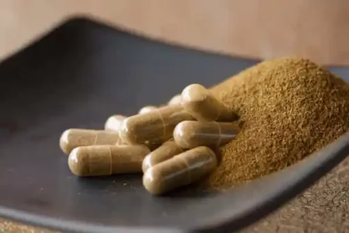 Iboga Powder Capsule 350mg