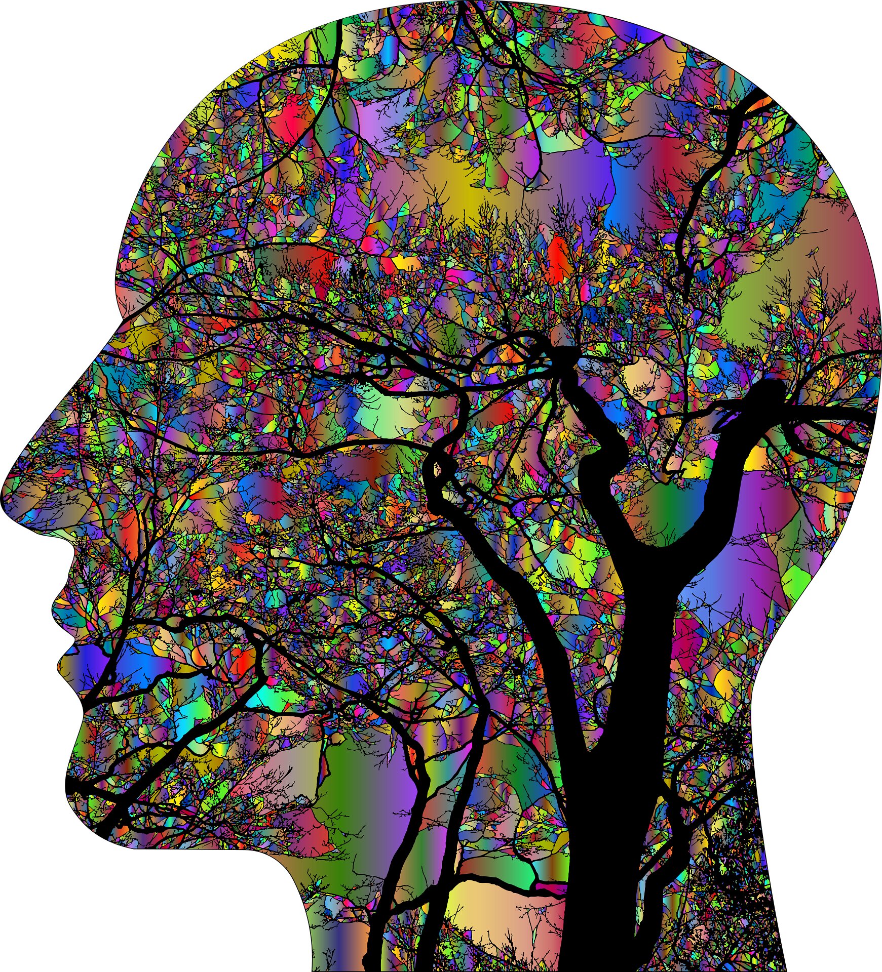 Where to buy psychedelics Online
