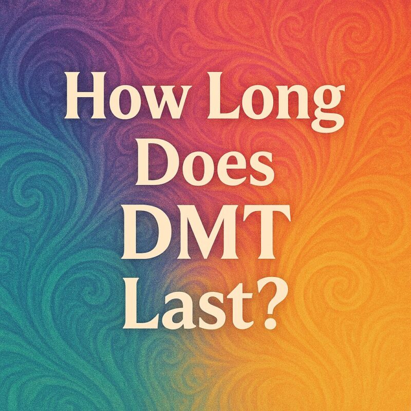 HOW LONG DOES  DMT LAST