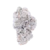 snow caps weed strain - Image 2