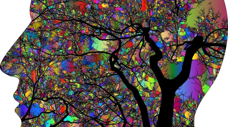 Where to buy psychedelics Online